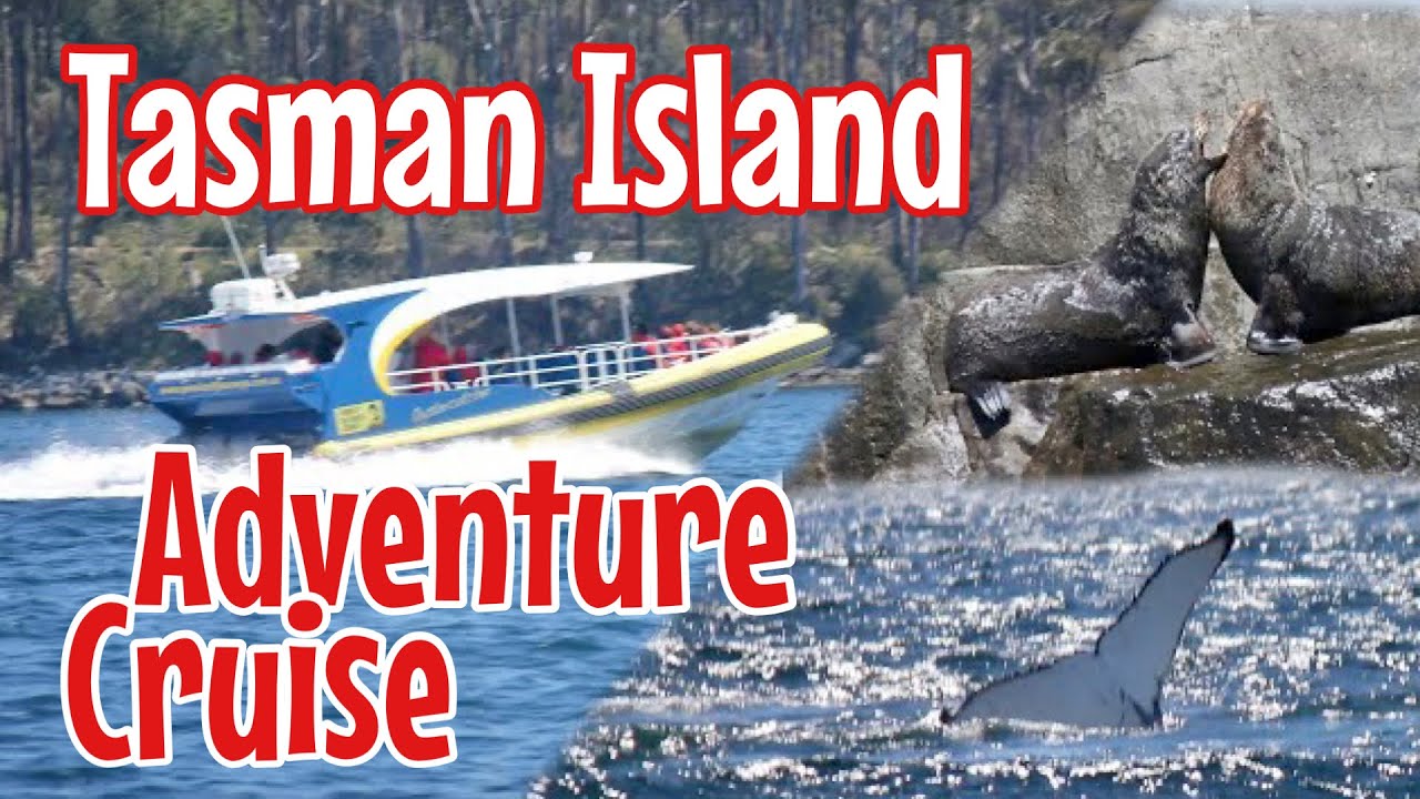 tasman island cruises pennicott