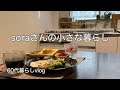 《ひとりと3匹の気ままな暮らし》落ち着かない1週間/今日の作り置き/娘の入院と手術/親子の距離感　#ひとり暮らし #イヌとネコ