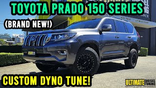 BRAND NEW Prado High Output gets AWESOME GAINS in power & torque!