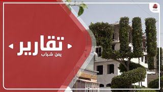 مأرب .. صناعة الجمال البصري من خلال تشكيل أشجار الشوارع