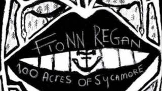 Video thumbnail of "Fionn Regan - For A Nightingale"