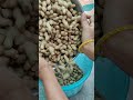 🥜 peanuts Ela try చేయండి