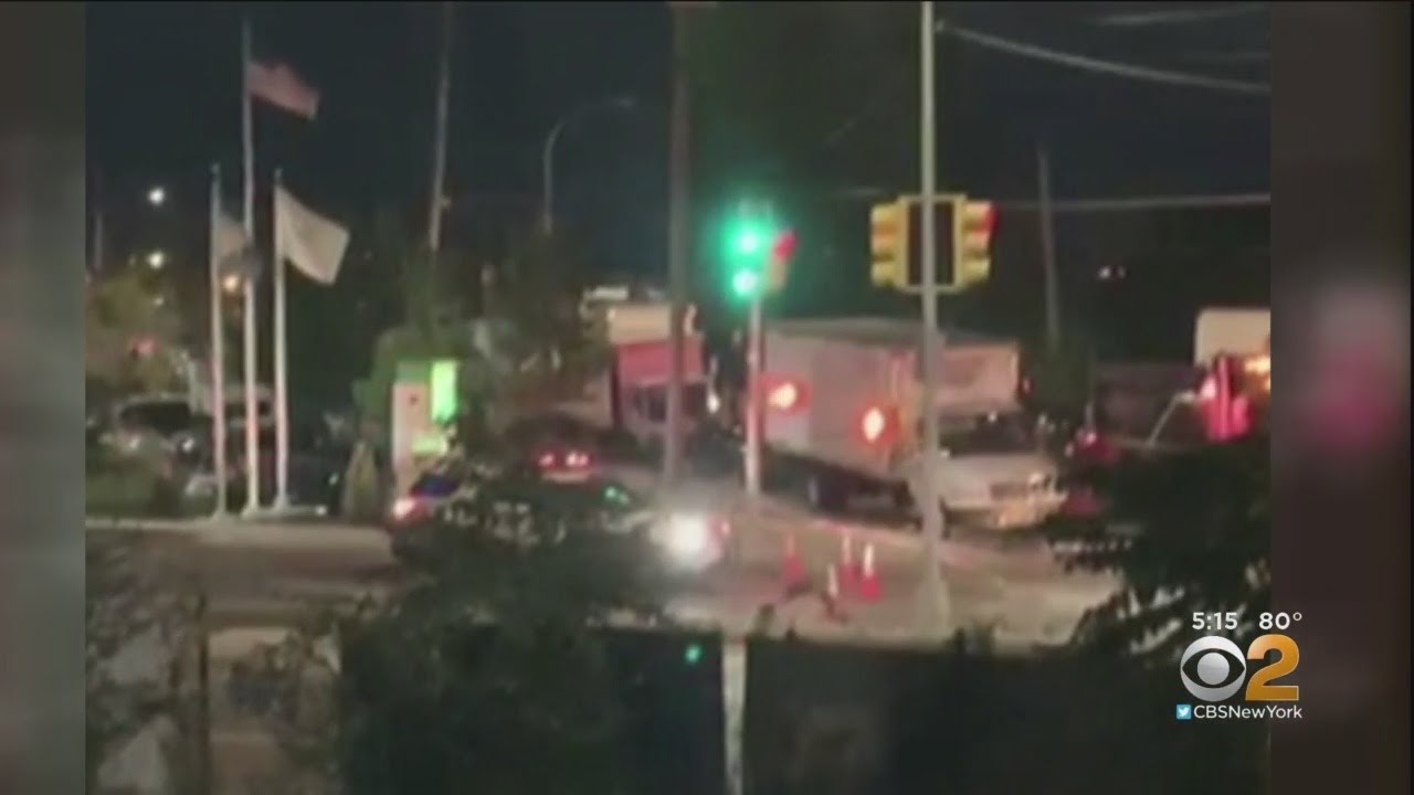 hit-and-run squad imdb Man Arrested After Deadly Hit-And-Run In Queens