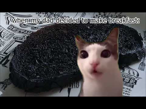Cat crunching burnt bread