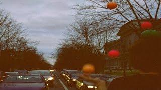 Young Dinosaur - Non-American