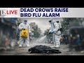 إنفلونزا الطيور H5N1 تضرب تشيناي مع نفوق 1000 غراب والسكان في حالة تأهب بث مباشر من فيرست بوست  mp3