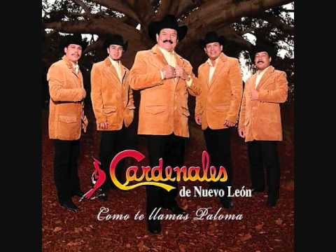 Ya lo se - Cardenales de Nuevo León