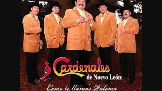 Video thumbnail of "Ya lo Se-Los Cardenales de Nuevo Leon"