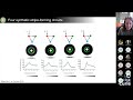 Yolanda schaerli  synthetic gene regulatory networks for spatiotemporal pattern formation