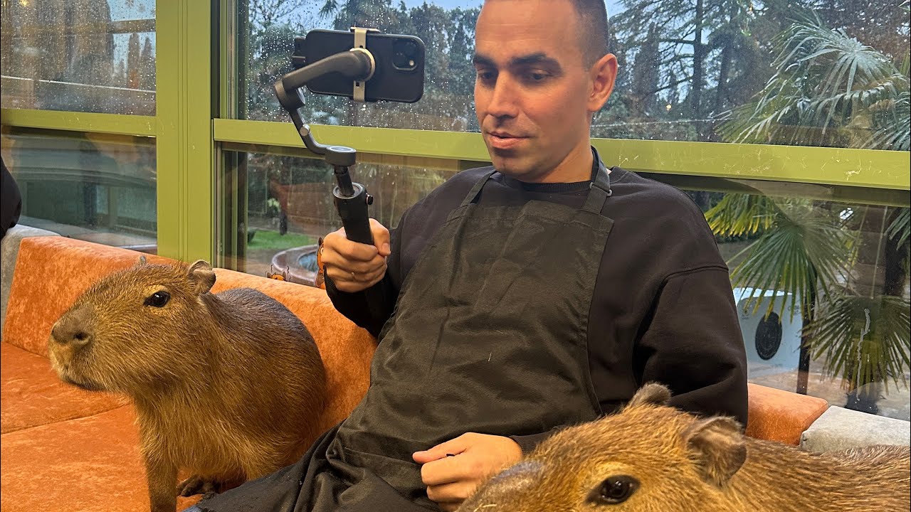 КАПИБАРЫ В СОЧИ !!!😱🥰🫶