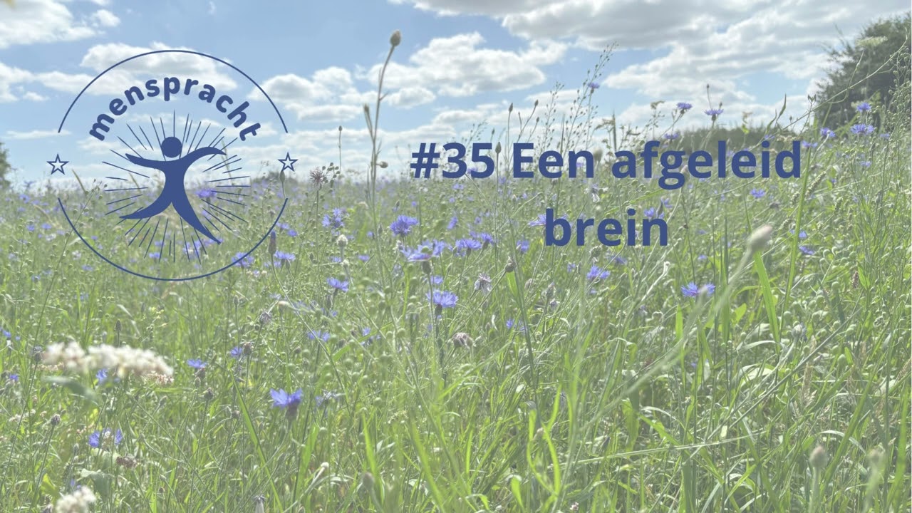 #35 Een afgeleid brein