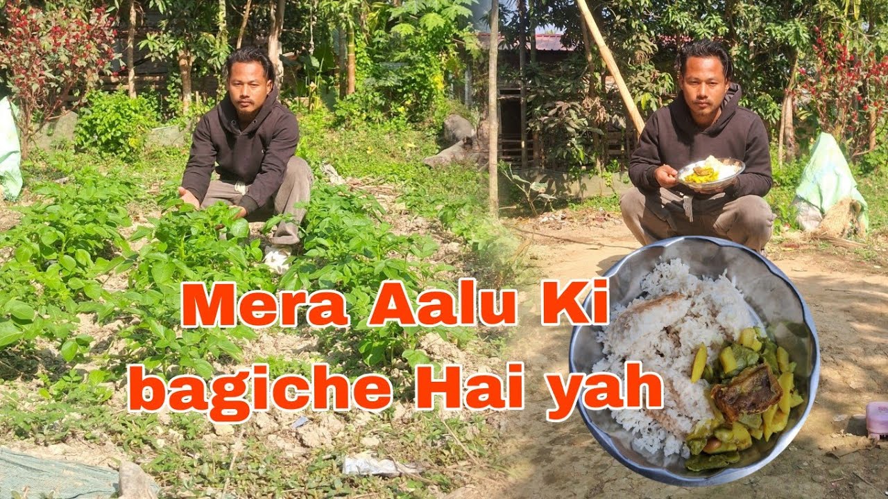 Mera Aalu Ki bagiche Hai yah 