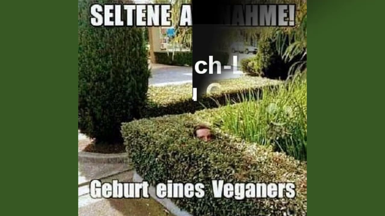 Willys Humor - Folge 439