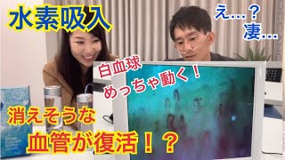 高濃度だとこうなる【水素発生器】欲しすぎる凄まじい効果！