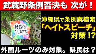 【武蔵野条例否決も 次が！】沖縄県で条例案模索 「ヘイトスピーチ」対策!? 外国ルーツのみ対象。県民は？
