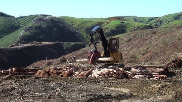 Tigercat 880 logger in  New Zealand