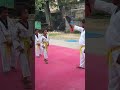 Shorts   taekwondo kick  taekwondo club team 20 