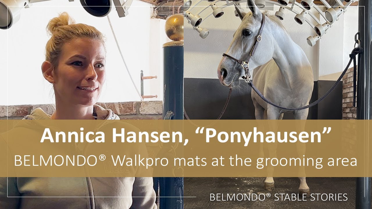 BELMONDO® stable mats at Annica Hansen´s "Ponyhausen": Walkpro mats at the grooming area