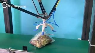 SoftGripping   Lettuce Handling Objects - Unbox Industry screenshot 4