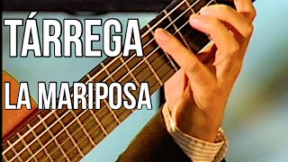 La Mariposa Francisco Tárrega Artyom Dervoed