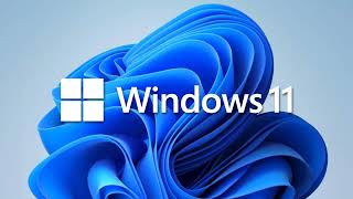 Startup (Build 21996.1) - Windows 11