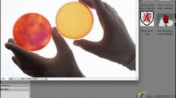 Photoshop CS5 Closed Captioned - Open Files and Bridge