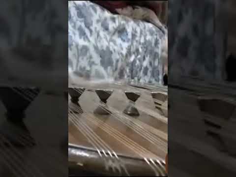 تا بهار دلنشین سنتور دستگاه همایون ایلیا