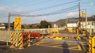 踏切　カンカン　Railroad crossing sound　JR奈良線　複線化　山城多賀　～　玉水221系　2021/1/13