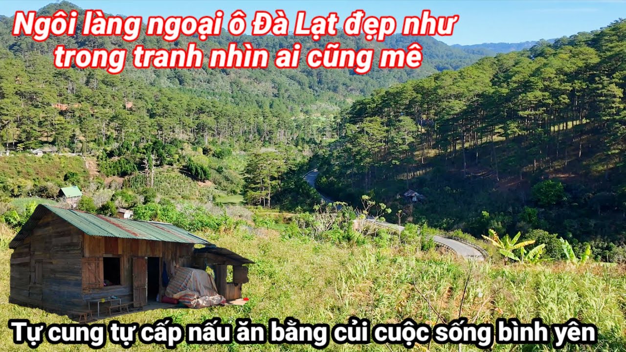 NGÔI LÀNG VÙNG CAO NGOẠI Ô ĐÀ LẠT ĐẸP NHƯ TRONG TRANH NHÀ CỬA ĐƠN SƠ