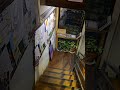 #thamel #cozyambience #bakery  #kathmandu #goodvibes #cafe