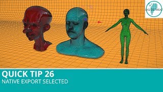 Famous Quick Tip 26: Native Export Selection Wealth