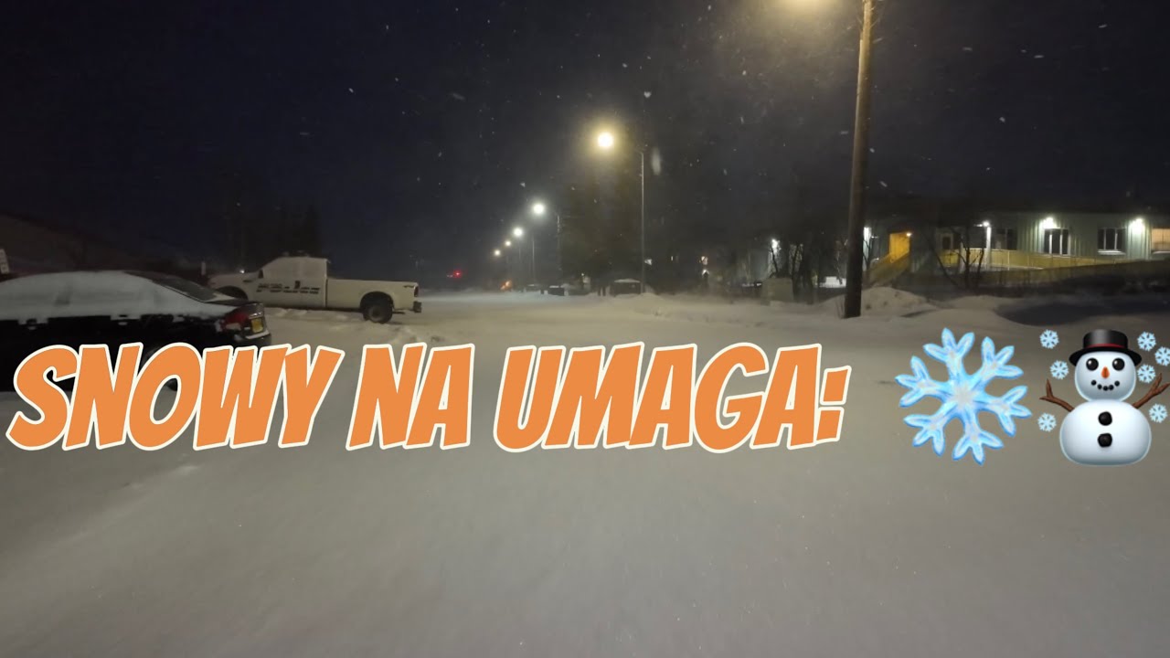 Winter Storm Morning: A Snowy Start to the Day ️🌨️#viralvideo # ...