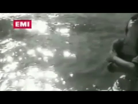 蔡齡齡《細水長流》1990