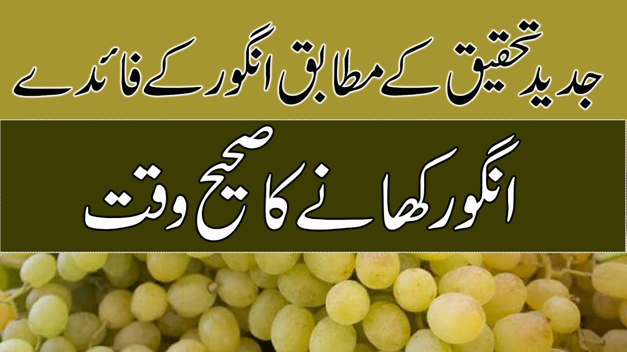 Health Benefits Of Grapes in Urdu By Dr Naveed | angoor ke fayde Health Benefits Of Grapes in Urdu By Dr Naveed | angoor ke fayde #1