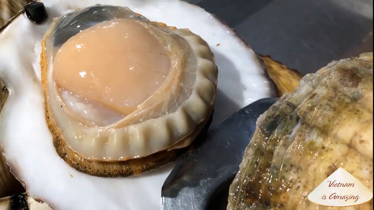 Seared Scallops How to cook scallops perfectly YouTube