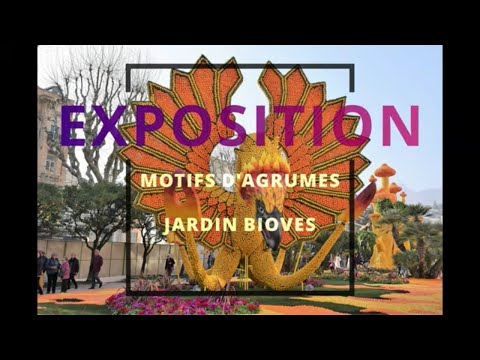 menton-fête-du-citron,-exposition-des-motifs-d