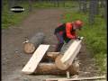 Chainsaw mill with stihl and logosol