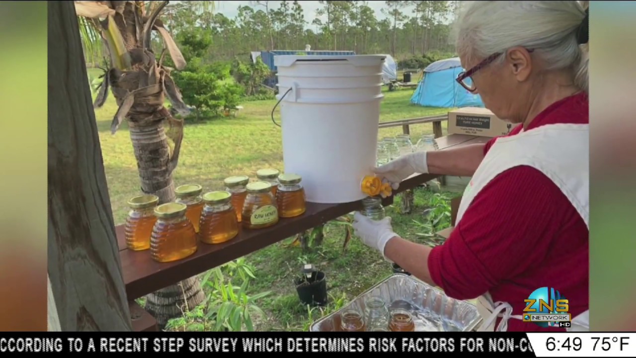 REBUILDING ABACO NEEM