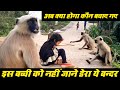 The Most Emotional And Heart Touching Moments Between This Little Girl And Langoors