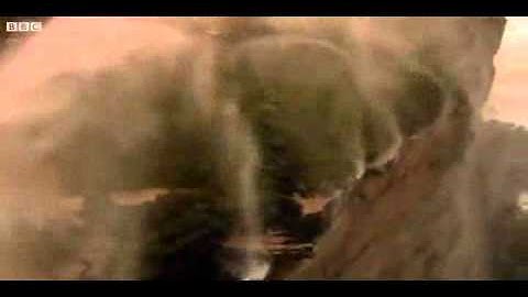 Kỳ vĩ thác nước chảy ngược như trong thần thoại.flv