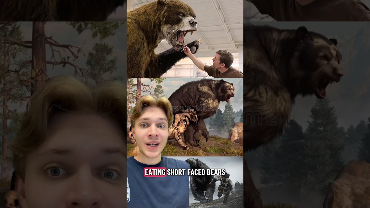 Ancient humans ate short faced bears…