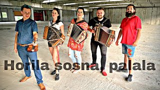 Video thumbnail of "Horila sosna, palala - Heligónka"