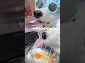 ５歳の誕生日にバナナケーキつくったら爆食してくれました！