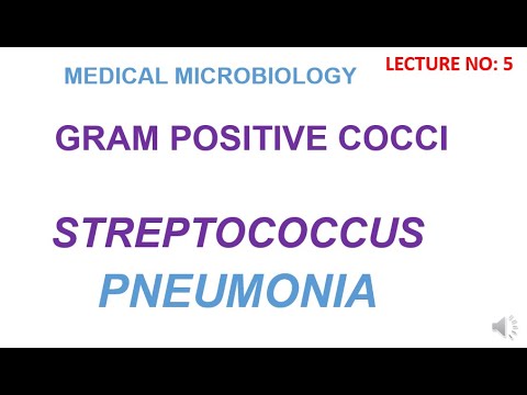 Streptococcus Pneumoniae |