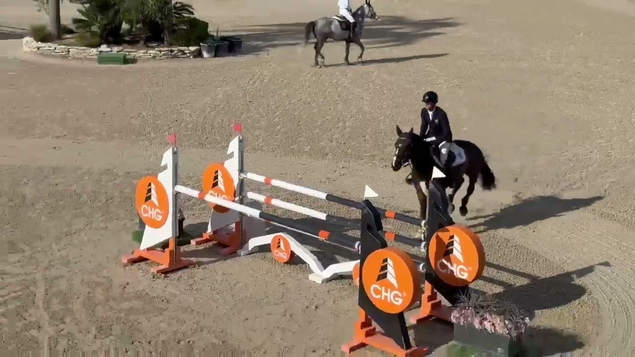 Over the Wings Pp (7yo 1,35) Oliva nova, 18/02.