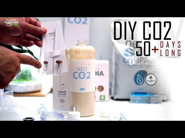 AquaRIO NEO Co2 Kit - Easy Co2 kit for beginners!! 