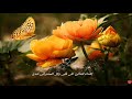 تهنئةبمناسبة العام الهجري الجديد 1440⁦❤️⁩١٤٤٠/كل عام و أنتم بخير