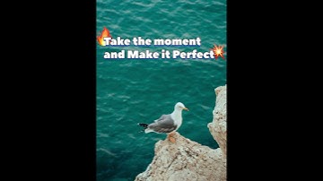 “Stop waiting for the perfect moment create it.Your dreams won’t wait Start today#motivation#shorts