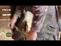 Tucker the Horse Gets a "Pedicure" from Farrier John Whaley
