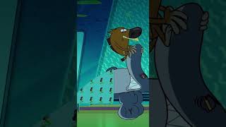 Funny Cartoon Zig & Sharko Wake Up